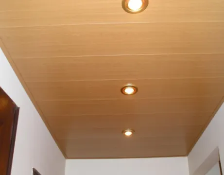 CEILINGS Plafon PVC 6